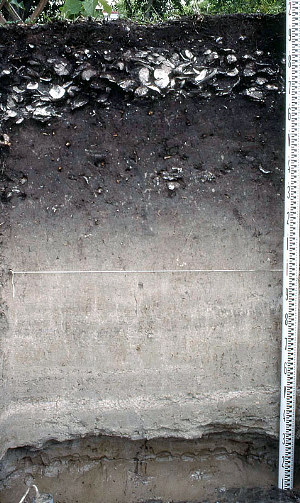 Image of Geological Section 3.