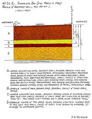 Image of profile of 1967 test pit.