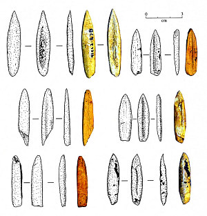 Image of Four lanceolate-shaped 