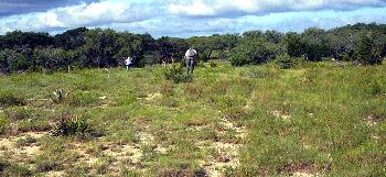 Archeologists from UT Austin survey rocky hillslopes surrounding a historic site to determine its perimeters and to recover any artifacts that might help establish its age. 