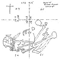 drawing of burial