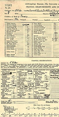 Cranial measurement and observation card