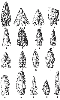 drawing of variety of dart points