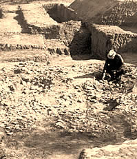 excavator examining burned rock