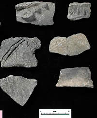 sherds decorated with simple exterior designs