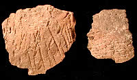 reddish "paint cup" sherds