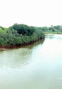 sweet-watered Clear Fork