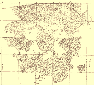 plan map of the Great Midden