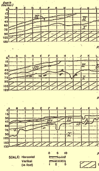 Krieger's stratigraphic profiles of Exacavation 3