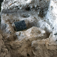 Image of burrow hole through exacavation unit