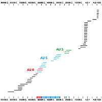 dradiocarbon graph