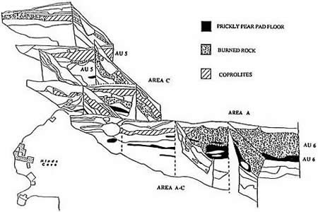 stratigraphic map