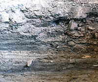 Wall profile showing latrine