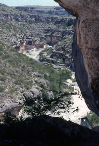 photo of canyon