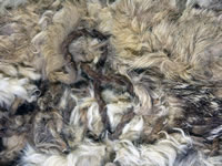 Close-up view of a rabbit fur robe