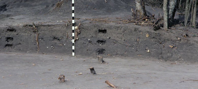 photo of the north wall of the main excavation block