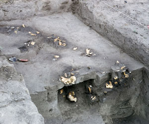 photo of bone bed