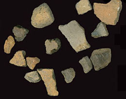 photo of pottery sherds