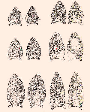 illustration of Brazos Fishtail points