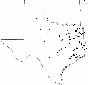 distribution map of sites with San Patrice points and like variants