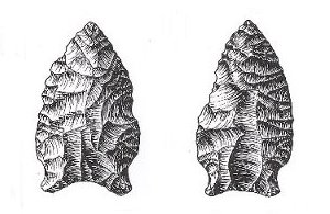 illustration of side-hollowed points from Rex Rodgers site