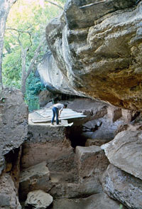 photo of Horn Shelter