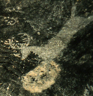 photo of a strikingly realistic deer leaps into the scene on this soot-blackened wall, overwritten by signatures and graffiti of later park visitors