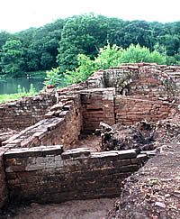 excavations at the Jackson Plantation