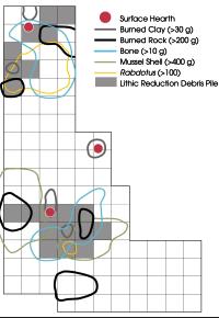 Map of debris piles