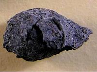 Photo of charred onion bulb fragment