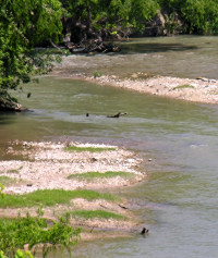 Photo of gravel bars