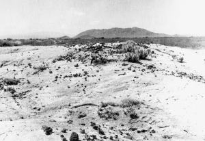  black and white photo of the Kopenbarger site