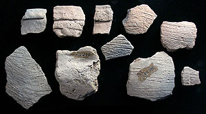 photo of Chinati Scored sherds from Millington