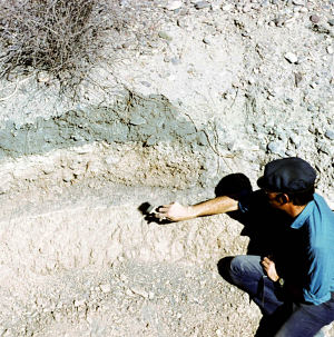 photo of arroyo wall showing alternating layers of dark and lighter fill