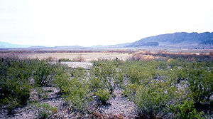 photo looking across the Rio Grande valley from the Millington site