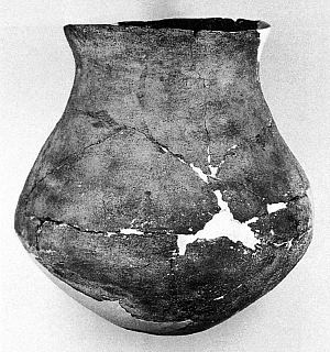 photo of Chinati Plain jar from Loma Alta