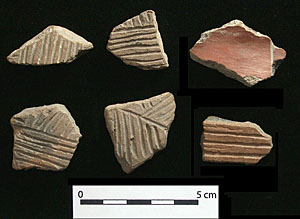 photo of incised and red-slipped sherds from Millington