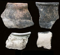 photo of La Junta ware rim sherds collected from the surface of the Millington site