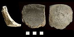 photo of three views of a large sherd from a small La Junta plainware bowl