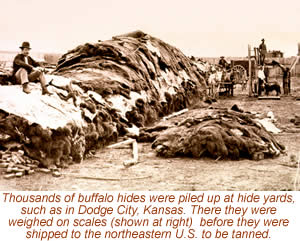 photo of stacked buffalo hides