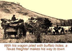 photo of a wagon piled high with hides