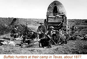 photo of a buffalo hunters' camp