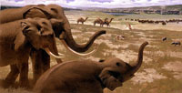 Painting of the Pleistocene