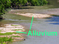 photo of an alluvial deposited gravelbar