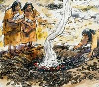 illustration of an earth oven for baking plants