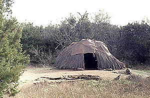 modern wickiup