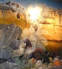 buffalo jump