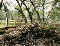 Burned Rock Midden