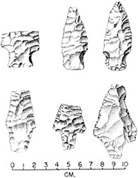 drawing of middle and late archaic points