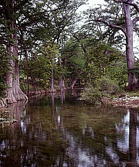 photo of Sabinal River